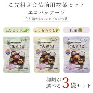 ご先祖さま エコパッケージ 種類が選べる 3個...の詳細画像1
