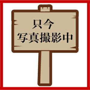 ネトロンネット　ＲＳ０１８−５０−Ｒ　赤 １００入