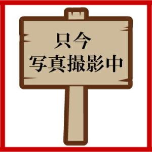 ぶどう箱 サービスぶどう Ｌ２０４２