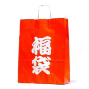 福袋 50枚 紙袋 袋のみ 袋 福袋用 手提げ袋 手提袋 丸紐 福袋対象 食品