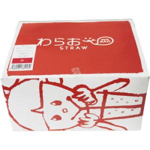 スプーンストロー 赤 バラ 500本 ストロー かき氷 フラッペ 業務用 テイクアウト 使い捨て シ...