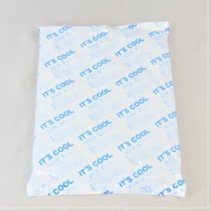 ＩＴ’ｓ ＣＯＯＬ Ｉー８００ ８００ｇ 保冷剤 アイスパック 氷 イッツクール 温度 業務用 発送は8月22日以降となります。