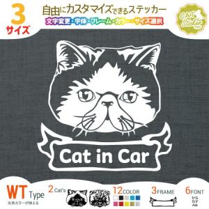 猫ステッカー 丸顔 WT 鼻ぺちゃ 耳折れ 垂れ耳 名入れ Cat in Car 家に猫がいます