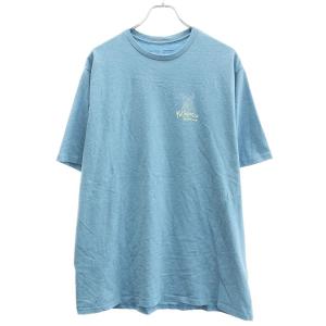 Patagonia パタゴニア プリントTシャツ STY37619SP22 ブルー L ITTU7U9SH6BC