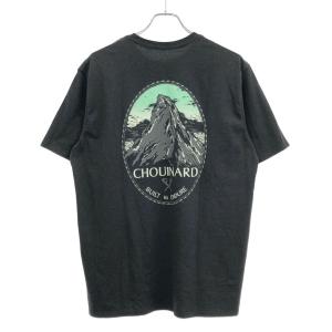 Patagonia パタゴニア ポケットTシャ...の詳細画像1