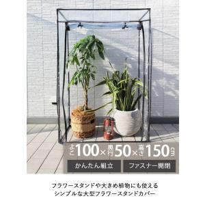 ビニール温室 温室 大型 ビニールハウス ベラ...の詳細画像1