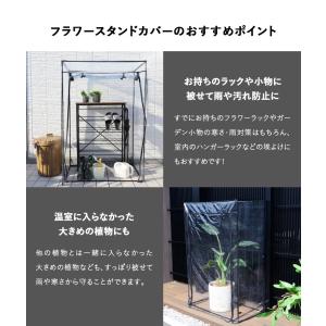 ビニール温室 温室 大型 ビニールハウス ベラ...の詳細画像4