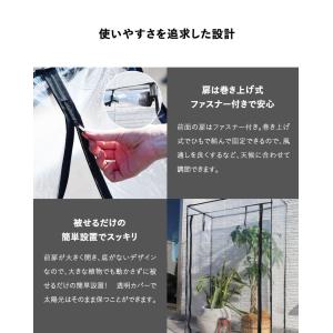 ビニール温室 温室 大型 ビニールハウス ベラ...の詳細画像5