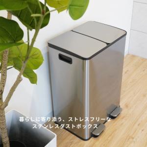 レビュー特典付き ゴミ箱 ダストボックス 30...の詳細画像1