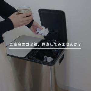 レビュー特典付き ゴミ箱 ダストボックス 30...の詳細画像2