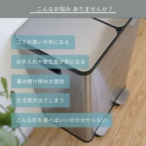 レビュー特典付き ゴミ箱 ダストボックス 30...の詳細画像3
