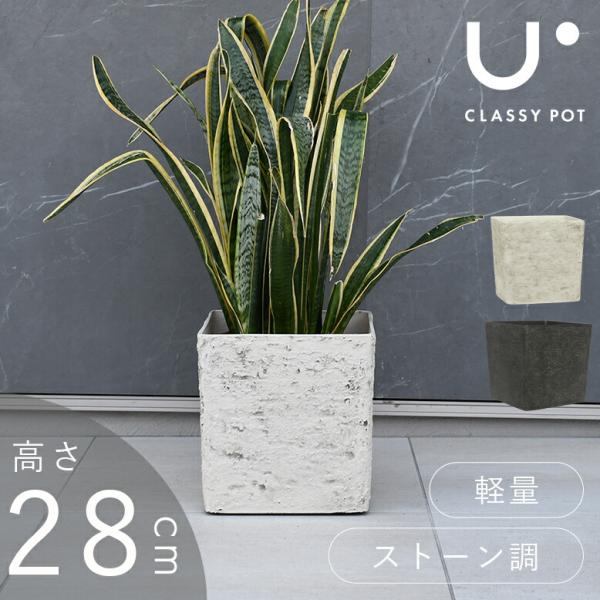 植木鉢 軽量 合成樹脂 9号 ブラック ホワイト classy pot クラッシーポット ナチュラル...