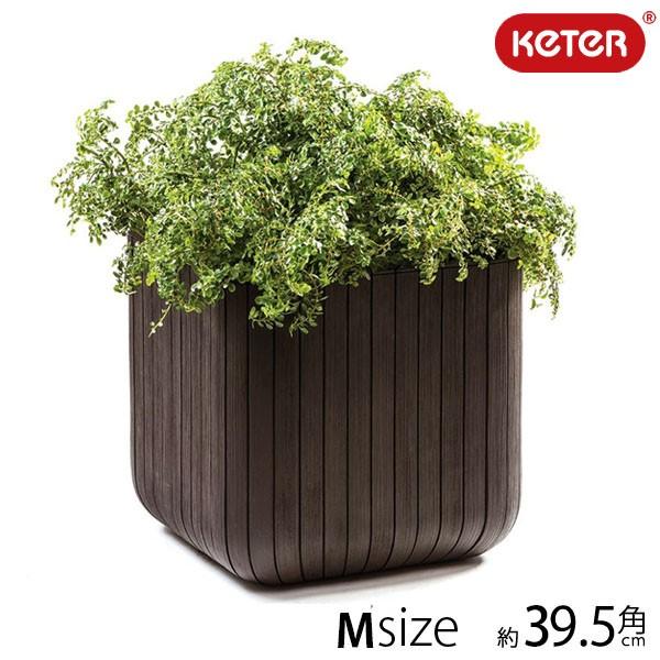 KETER　Cube Planter　M/木調キューブプランターＭサイズ/大型プランター/ケター/植...