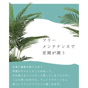 人工観葉植物 フェイクグリーン 観葉植物 造花...の詳細画像5