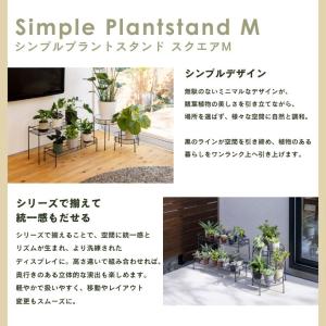 シンプルプラントスタンド スクエア M | プ...の詳細画像2