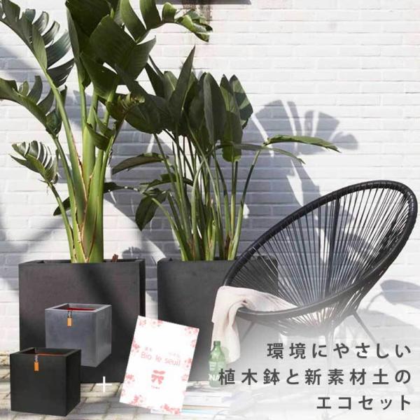 超栽培キット 植木鉢 Capiキューブポットスムース 30cm 1個 ＆ 美をソイル 25L セット...