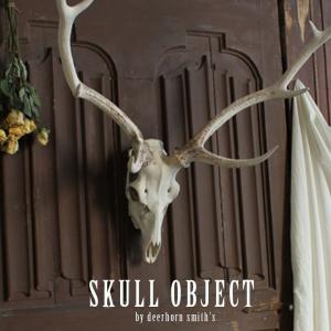 トナカイ 壁掛けオブジェ ハンティングトロフィー 剥製 シカ 鹿 狩猟