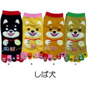 おもしろ5本指ソックス レディース おもしろかわいい五本指靴下 しば犬 おもしろソックス