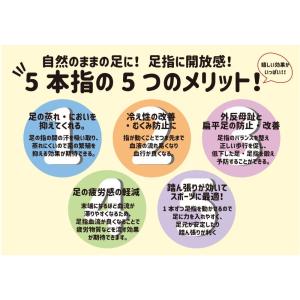 おもしろ5本指ソックス レディース おもしろか...の詳細画像2