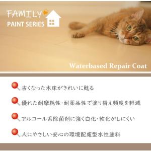 水性リペアコート カラー ライトブラウン【 フ...の詳細画像2