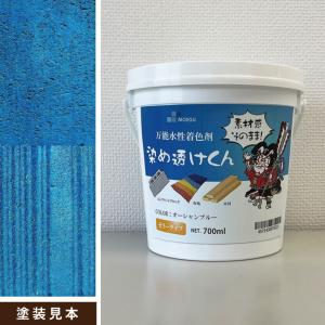 激安　カラー剤 FP-S カラーチェック タセト 浸透液 赤色 1本(420mL) FP-S - 【通販