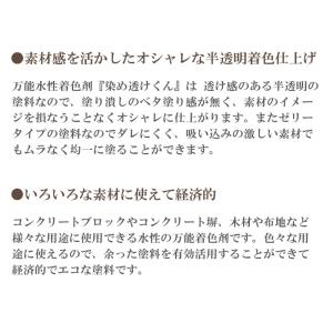 染め透けくん【シースルーホワイト】700ml ...の詳細画像3