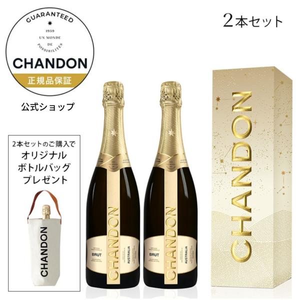 限定ボトルバッグ付 シャンドン ギフトボックス2本セット 750ml スパークリングワイン白 辛口 ...