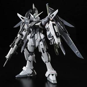 RG 1/144 デスティニーガンダム ディアクティブモード 使用感有り｜moetaku