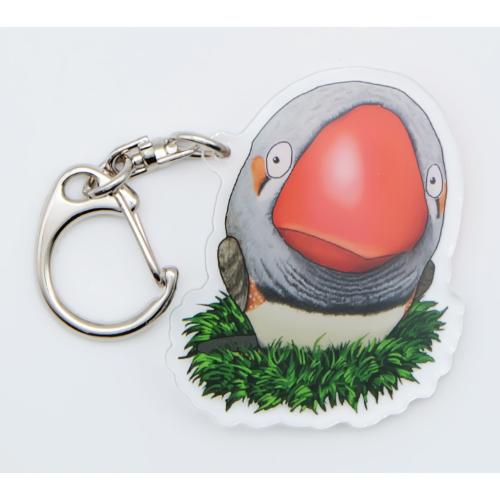 鳥のキンカチョウさんのキーリング おしゃれ キャラクター アニマル キーホルダー　001