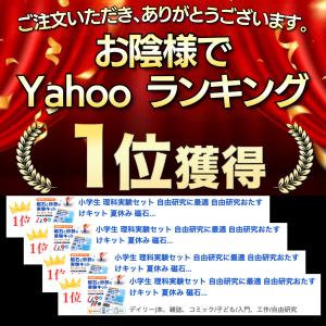理科実験セット 自由研究に最適 磁石の実験 磁...の詳細画像1