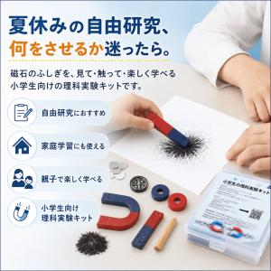 理科実験セット 自由研究に最適 磁石の実験 磁...の詳細画像2