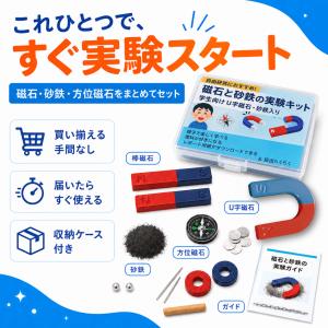 理科実験セット 自由研究に最適 磁石の実験 磁...の詳細画像3