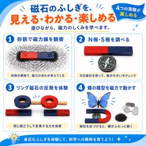 理科実験セット 自由研究に最適 磁石の実験 磁...の詳細画像5