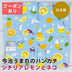 +ima 今治うまれのハンカチ シチリアレモンとネコ