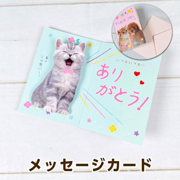アクティブコーポレーション 絵本カード 犬・猫「Thank you」 B03-GS-198