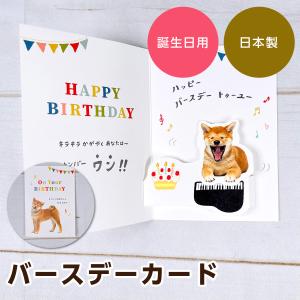 アクティブコーポレーション ポップアップ グリーティングカード 犬「On Your BIRTHDAY」 E08-GP-149｜mofu