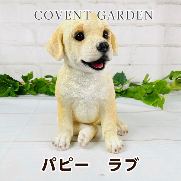 コベントガーデン（COVENT GARDEN） パピー ラブ（ラブラドールレトリーバー）