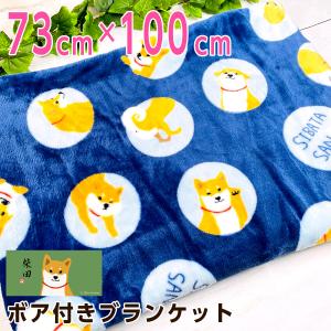 フレンズヒル 柴田さん ヒョッコリシバタ ボア付きブランケット RW-125-39
