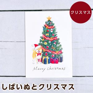 アクティブコーポレーション しばいぬとクリスマスカード クリスマスツリー CMG-575