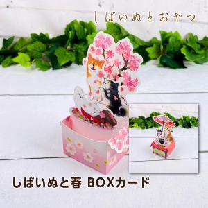 アクティブコーポレーション しばいぬとおやつ しばいぬと春 柴犬 BOXカード（和傘/桜）｜mofu