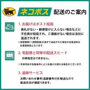 モリモリ 胸パッド 水着や下着にinしてグラマ...の詳細画像3