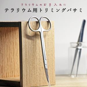 テラリウム 苔 用ハサミの商品一覧 通販 Yahoo ショッピング