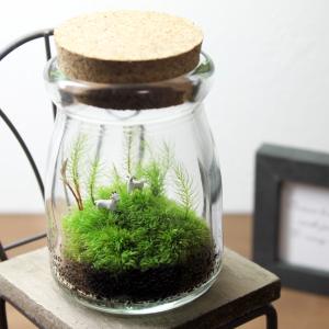 苔テラリウム 動物達の牧場 盆栽 プレゼント ギフト 癒し 定形外OK
