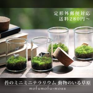 苔テラリウム 動物のいる草原 植物 ギフト プレゼント 癒し 定形外OK