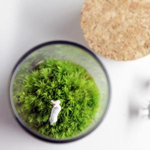 苔テラリウム 動物のいる草原 植物 ギフト プ...の詳細画像2