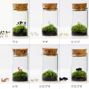 苔テラリウム 動物のいる草原 植物 ギフト プ...の詳細画像4