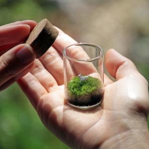 苔テラリウム 動物のいる草原 植物 ギフト プ...の詳細画像3