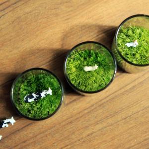 苔テラリウム 動物のいる草原 植物 ギフト プ...の詳細画像1
