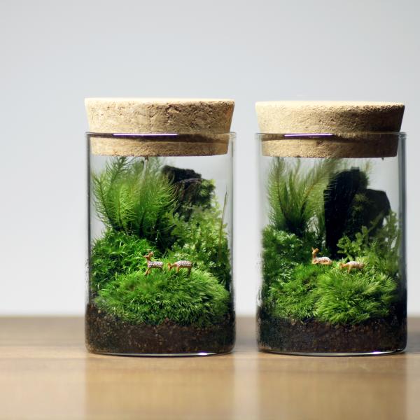 苔テラリウム 小鹿がたたずむ苔の森 植物 鉱物 ギフト ラッピング 癒し プレゼント