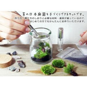 苔庭テラリウム手作りキット 植物 DIY ギフ...の詳細画像2